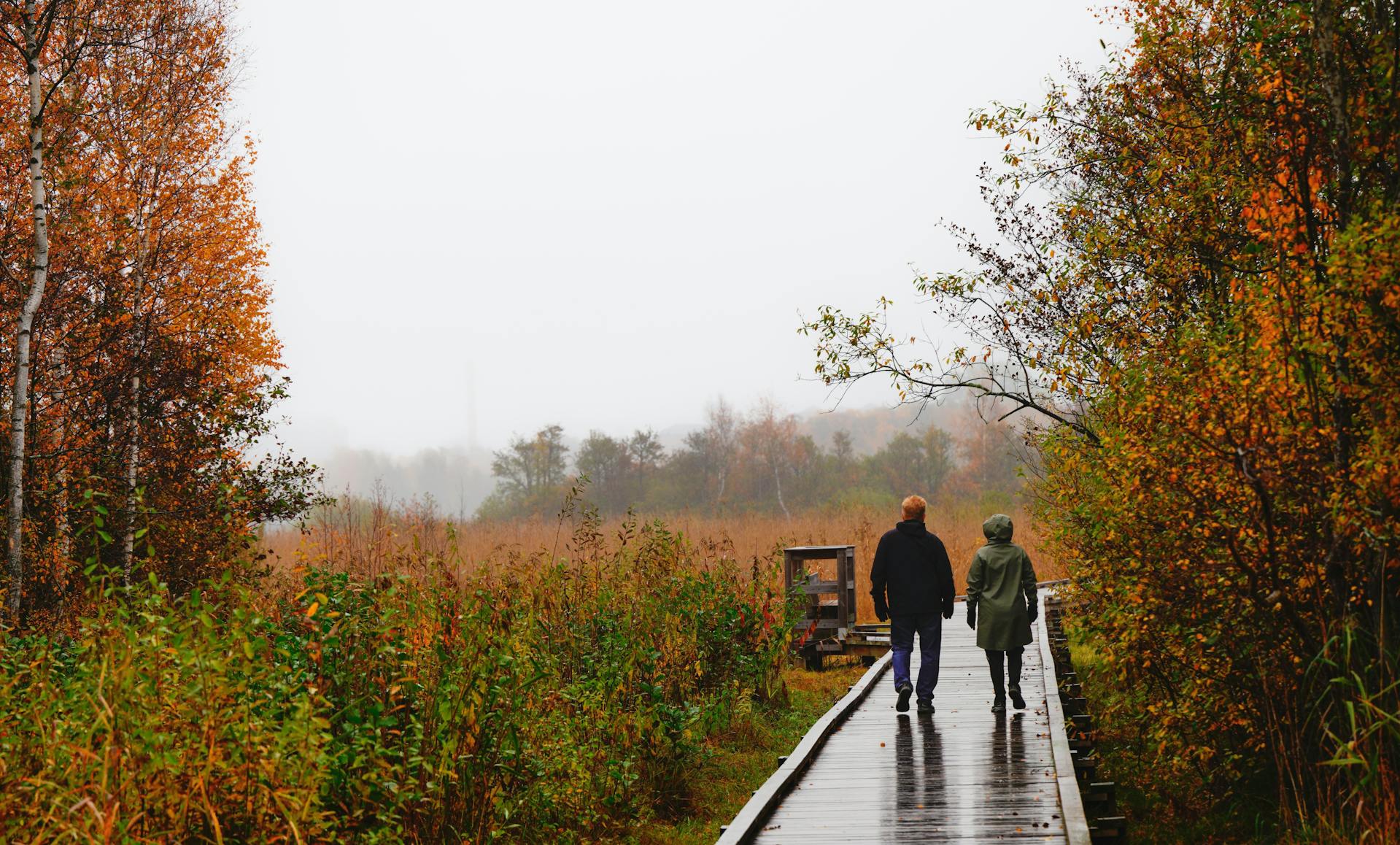 Educación en bienestar